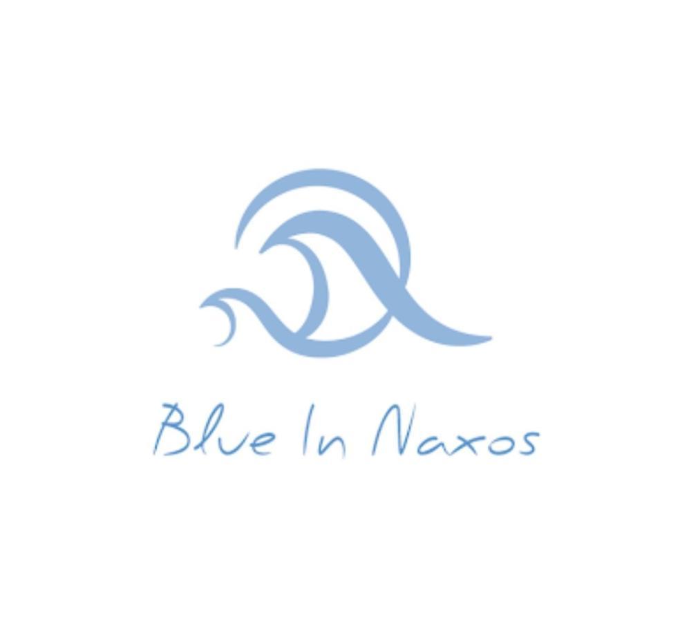Blue In Naxos Hotel Naxos City Kültér fotó